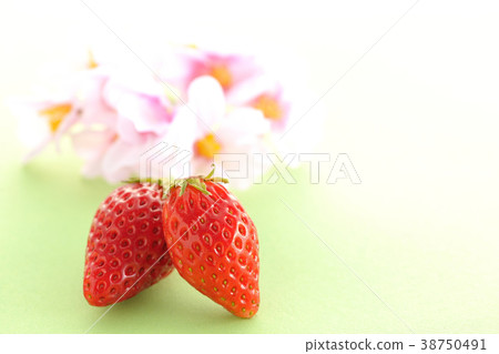 Strawberry and cherry blossoms nestling. 38750491