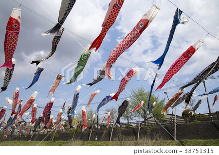 Carp streamer Carp streamer 38751315