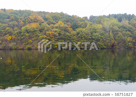 Nami Island, Chuncheon City, Gangwon Province Nami Island, Chuncheon City, Gangwon Province 38751827