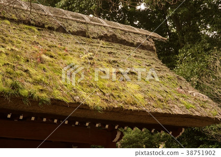 Shindaiji寺廟在秋天 38751902