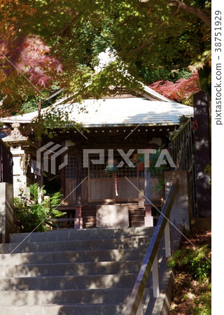 Shindaiji寺廟在秋天 38751929