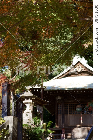 Shindaiji寺廟在秋天 Shindaiji寺廟在秋天 38751930