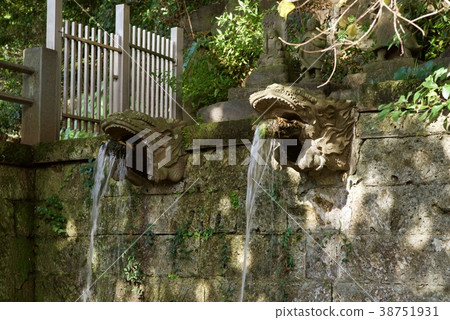 Shindaiji寺廟在秋天 38751931