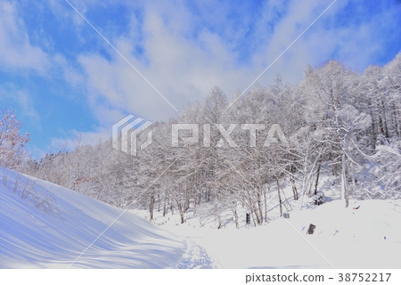 Sarugababa Tei of white silver Sarugababa Tei of white silver 38752217