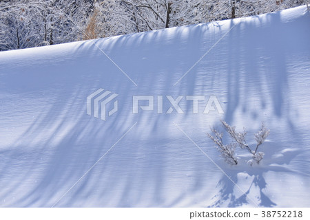 樹的陰影在雪牆壁反射了 38752218