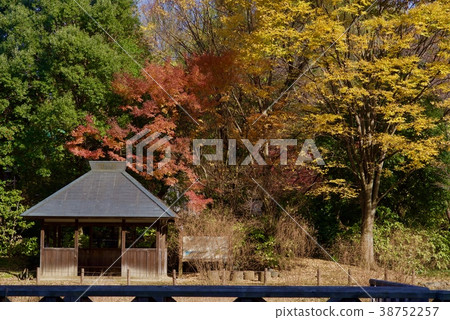Shindaiji Temple in autumn 38752257