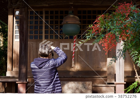 Shindaiji寺廟在秋天 38752276