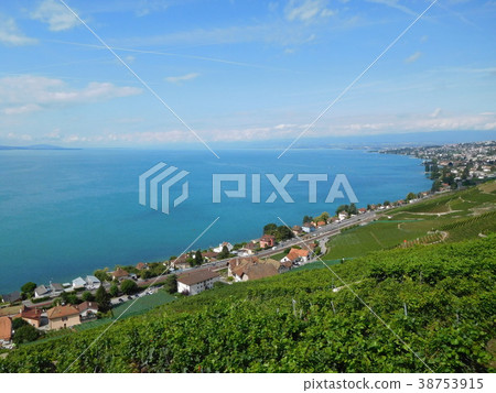Vineyards of Lake Reman and Lavaux 38753915