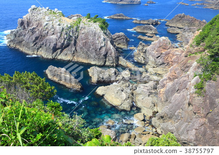 和歌山,En本“Umi Kingo” 和歌山,En本“Umi Kingo” 38755797