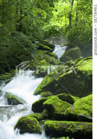 江原道平昌縣Jangjeon Valley 38756461
