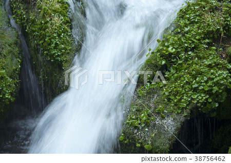江原道平昌縣Jangjeon Valley 江原道平昌縣Jangjeon Valley 38756462