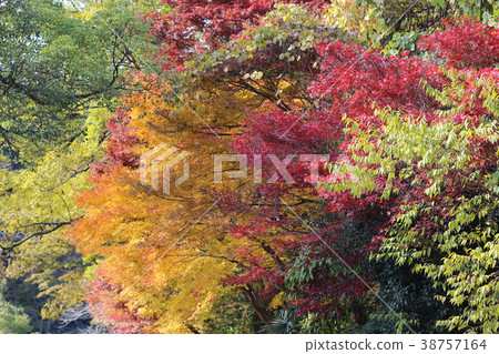 fall season view of Yase Hieizan Guchi fall season view of Yase Hieizan Guchi 38757164