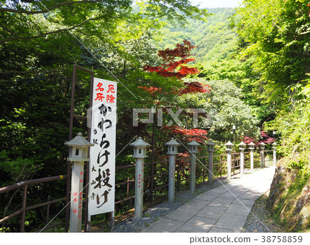 Approach to Tanzawa-Oyamaji Temple 38758859