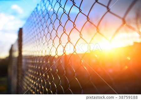 fence with metal grid in perspective fence with metal grid in perspective 38759188