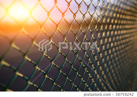 fence with metal grid in perspective 38759242