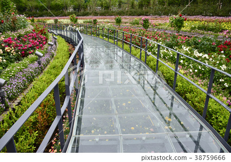 Flower Lagoon May Flower Valley Stock Photo