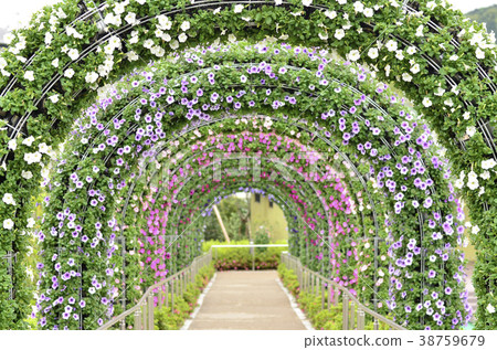 Flower Lagoon May Flower Arch Stock Photo