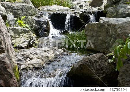 名古屋市4月天鵝花園大瀧 38759894