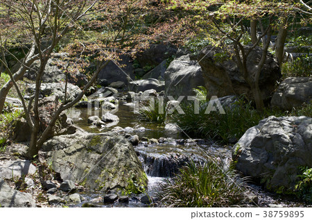 4月在名古屋市的天鵝花園小溪 38759895