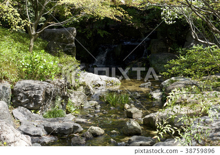 名古屋市四月的天鵝花園 38759896