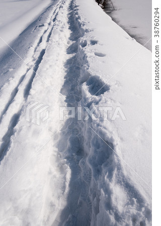在雪中繼續的小徑的踪跡 在雪中繼續的小徑的踪跡 38760294