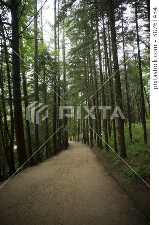 Woljeongsa Temple, Odae Mountain, Pyeongchang County, Gangwon Province 38761434