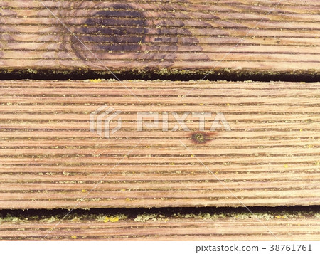 Floor treated with fungicidal sealer. 38761761