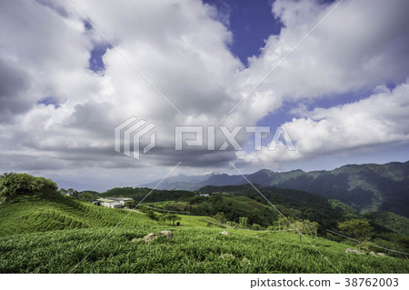 鹿野高台 38762003