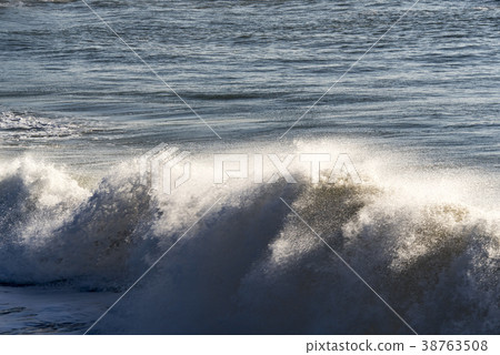 Gyeongju Yangnam Suyeong-ri（自然紀念碑536），Gyeongbuk慶州 38763508