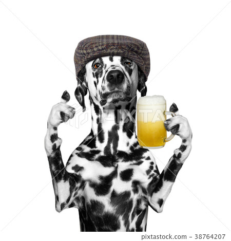 dog drinks beer 38764207