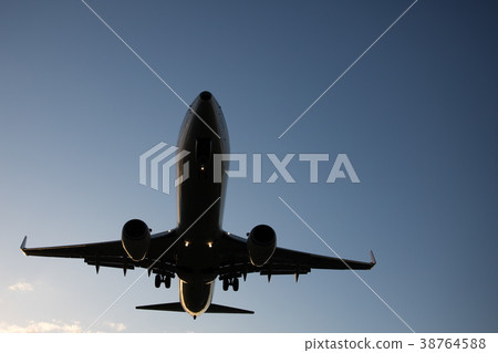 飛機 38764588