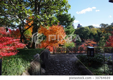 Tokugawa Garden Autumn Tokugawa Garden Autumn 38764689