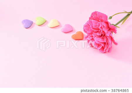 母親節康乃馨母親節康乃馨 38764865