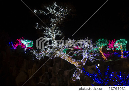Herb Island, Pocheon, Gyeonggi-do Herb Island, Pocheon, Gyeonggi-do 38765081