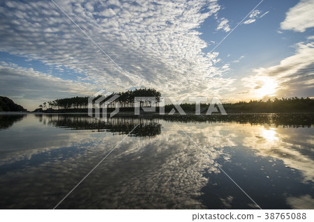 Pine Tree, Fishing Beach, Taean Coast National Park, Taean County, Chungnam 38765088