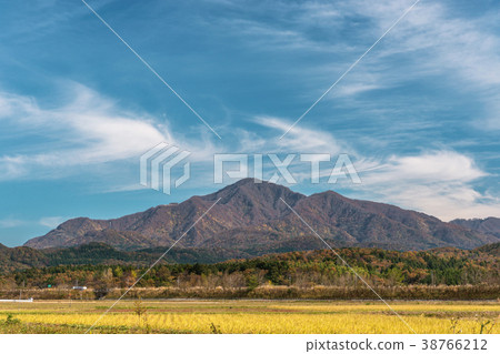 Satoyama's Autumn Landscape Satoyama's Autumn Landscape 38766212