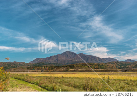 Satoyama's Autumn Landscape 38766213