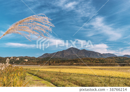 Satoyama's Autumn Landscape 38766214