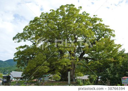 Noma中的Nobuyoshi Noma中的Nobuyoshi 38766394