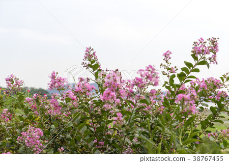 Shindo, Ongjin-gun, Incheon 38767455