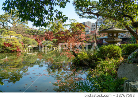 Autumn leaves of Hyogo Prefecture Kobe City Sorakuen Autumn leaves of Hyogo Prefecture Kobe City Sorakuen 38767598