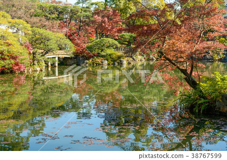 Autumn leaves of Hyogo Prefecture Kobe City Sorakuen Autumn leaves of Hyogo Prefecture Kobe City Sorakuen 38767599