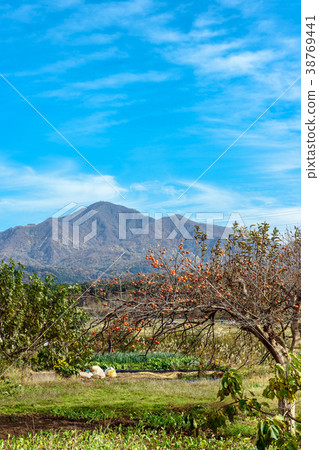 Satoyama's Autumn Landscape Satoyama's Autumn Landscape 38769441