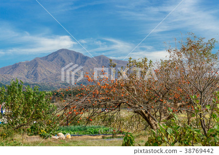 Satoyama's Autumn Landscape 38769442