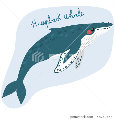 Large Humpback Whale Large Humpback Whale 38769562