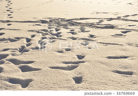 Footprints in the snow. 38769669