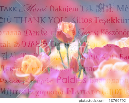 Thank you in the words of the world, daring rose background Thank you in the words of the world, daring rose background 38769792