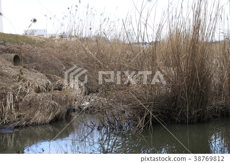 Ayase River in winter flowing through Ina Town 38769812