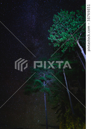 Landscape with stars over tree. Night sky Landscape with stars over tree. Night sky 38769851
