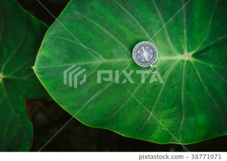 Orientation concept - Analogical Compass laying on 38771071